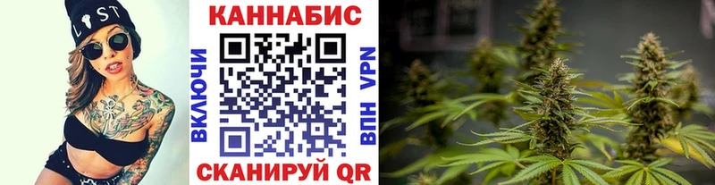 купить наркоту Боровичи МАРИХУАНА SATIVA & INDICA
